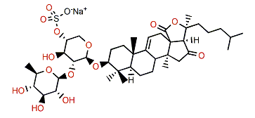 Cercodemasoide D